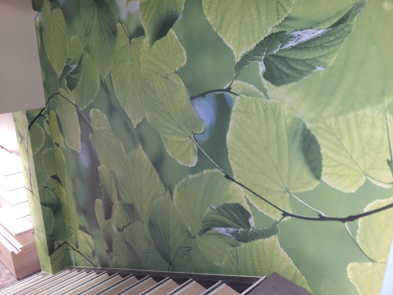 Signalétiques Intérieures